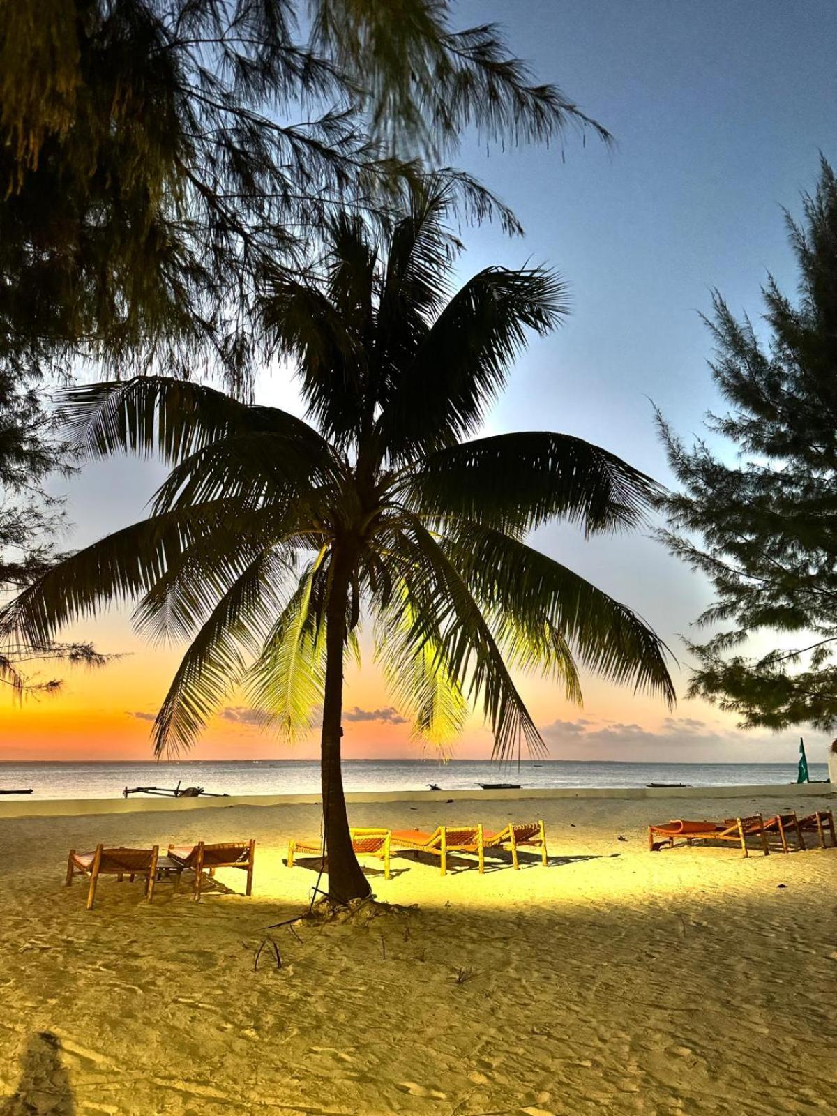 Bahati Sunset Bungalows Michamvi Buitenkant foto