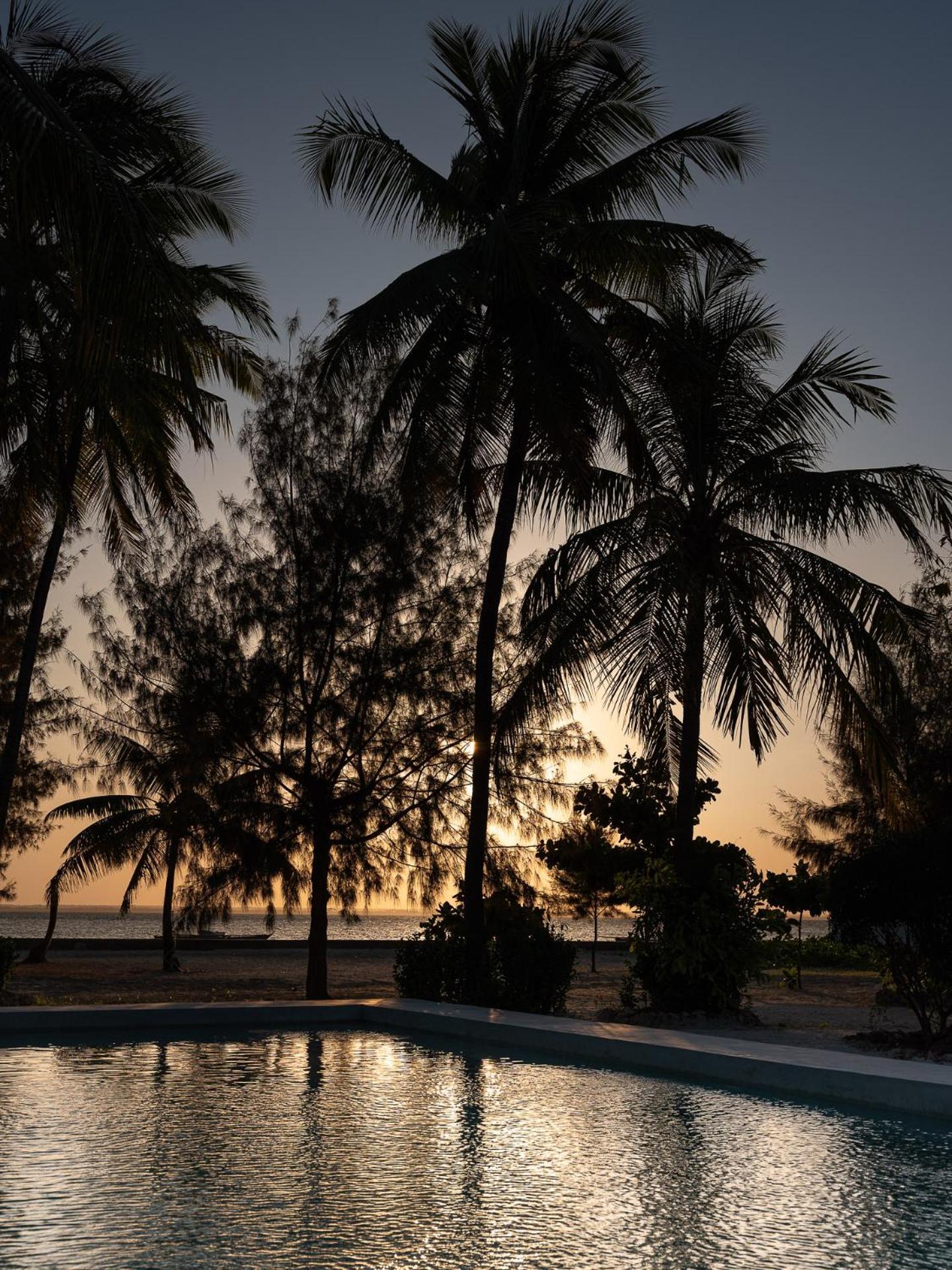 Bahati Sunset Bungalows Michamvi Buitenkant foto